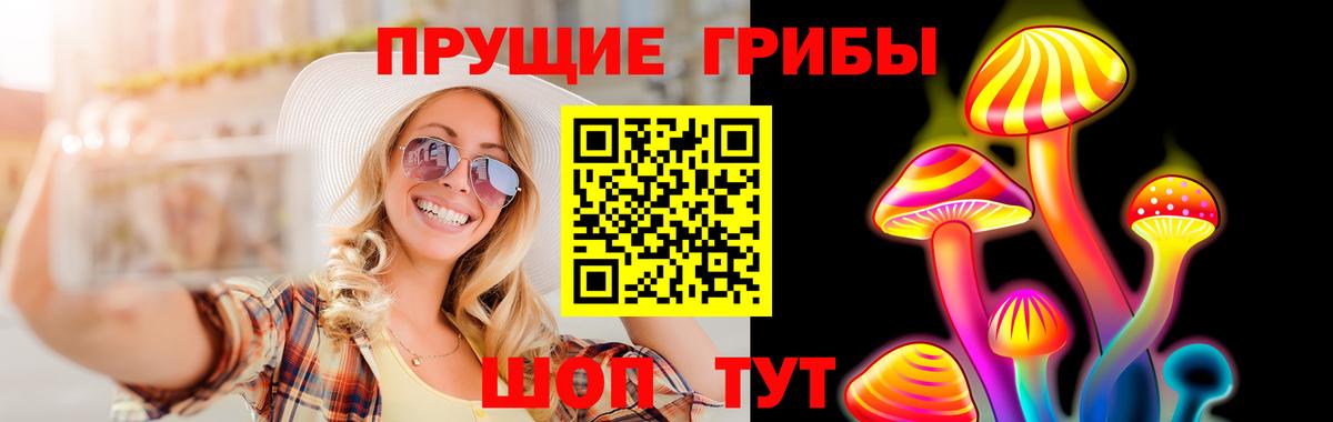 Псилоцибиновые грибы Cubensis Муравленко